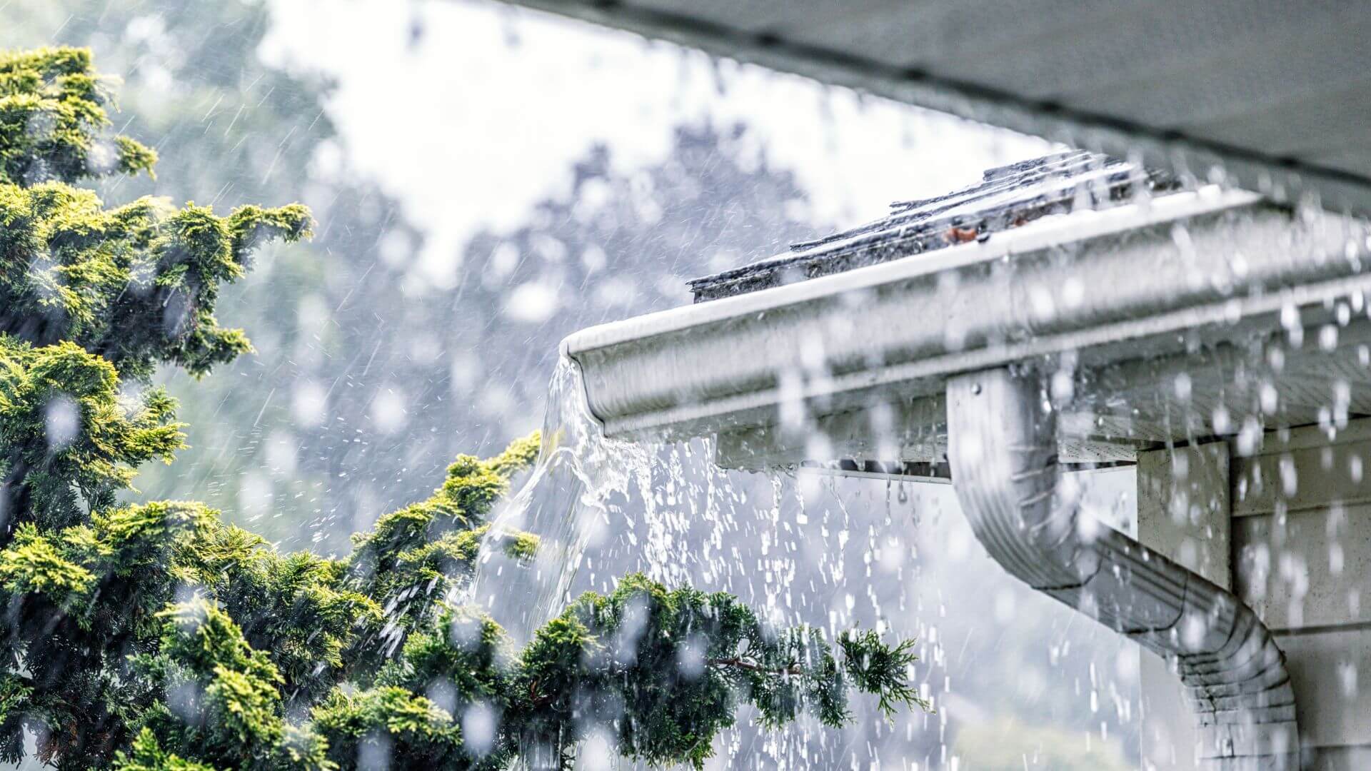 Michigan-Roof-Storm-Damage-Trust-PRSE