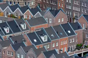 Seam Roof Services