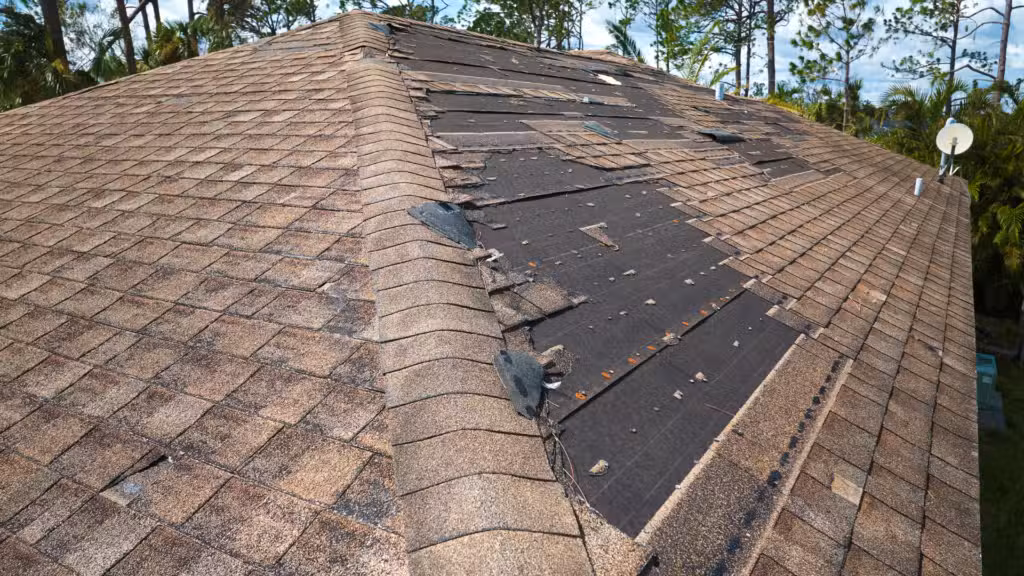 roof damage michigan