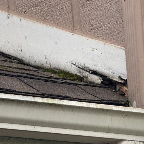 Hail Damaged Roof Shingle Embedded