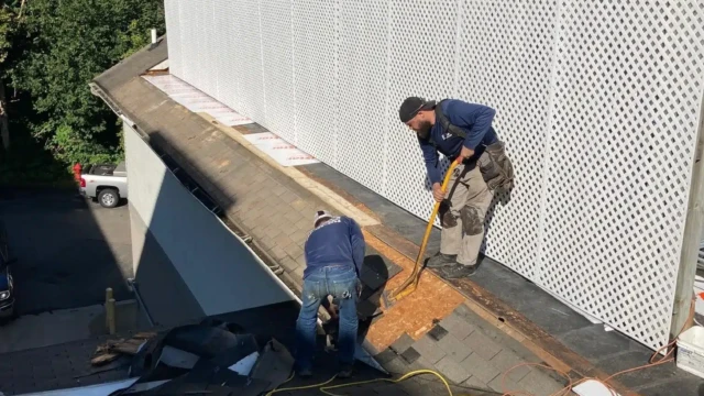 Plastic Roof Panel